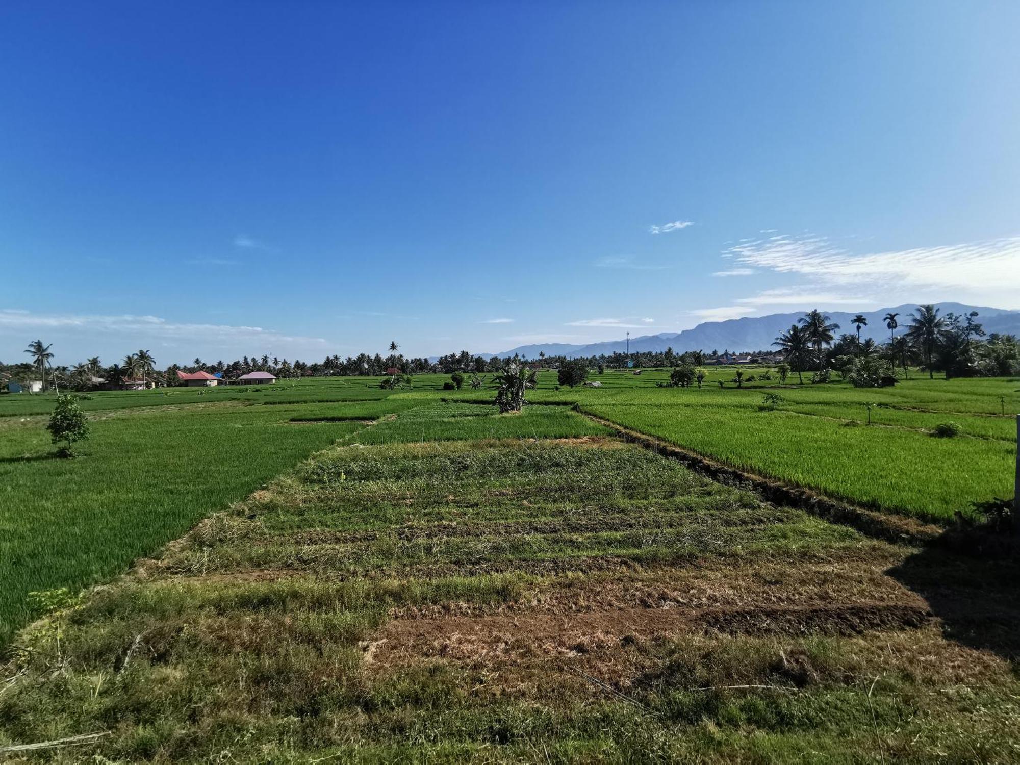 Mila Homestay Padang  Exterior foto
